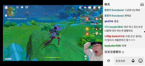 原神s11最新爆料,神秘元素觉醒,探索未知世界